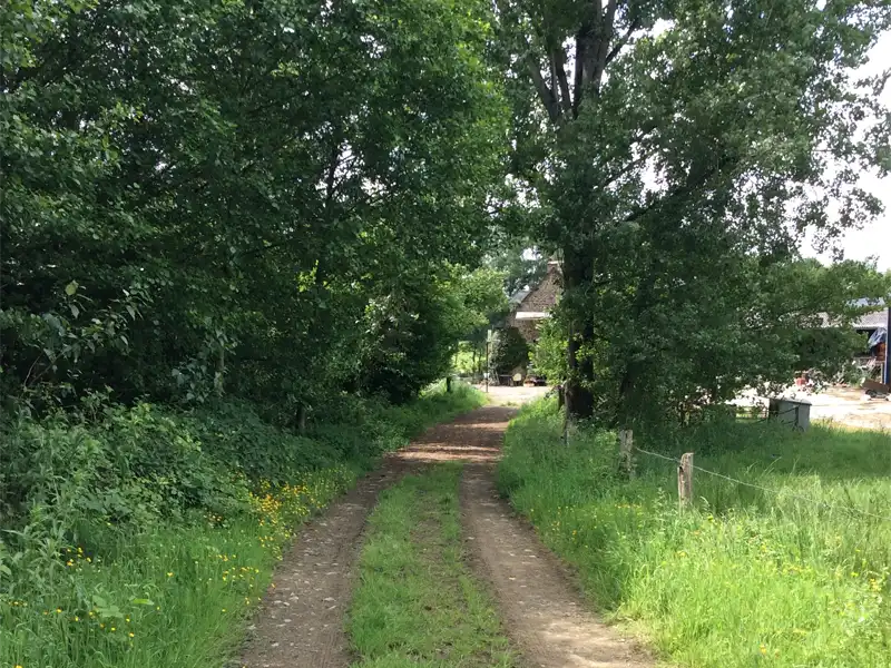 Image du chemin de randonnée derrière la Ferme du Bas Val